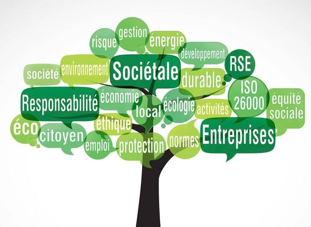 RSE et développement durable : deux histoires, une même ambition