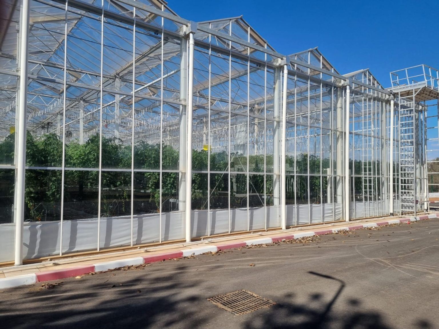 Greenport Morocco : le Maroc et les Pays-Bas unis pour moderniser l’horticulture
