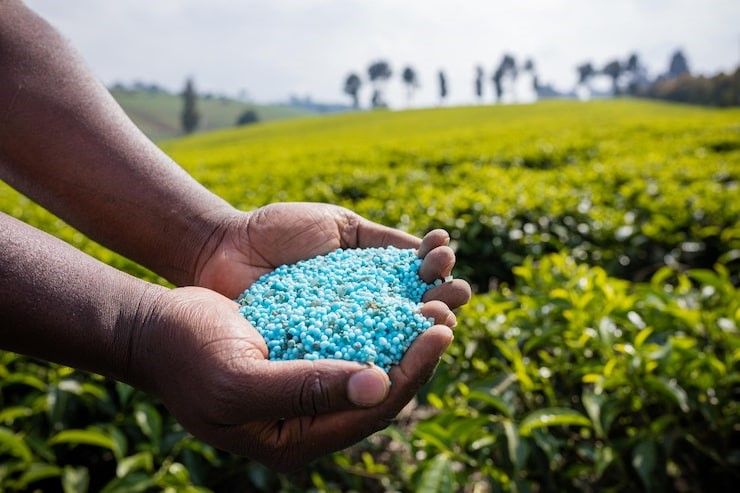 OCP Nutricrops : innovation durable, entre ambitions et défis